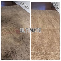 Ultimate Carpet Care & Cleaning photos