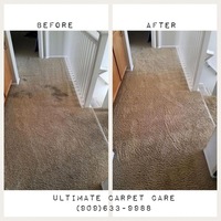 Ultimate Carpet Care & Cleaning photos