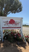 Luna Rose Nursery & Garden photos
