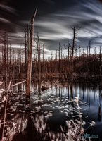 #<Event:0x005ee234e13410> photos