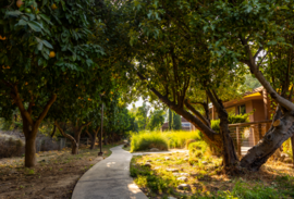 Montessori in Redlands photos