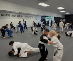Alliance Jiu Jitsu photos